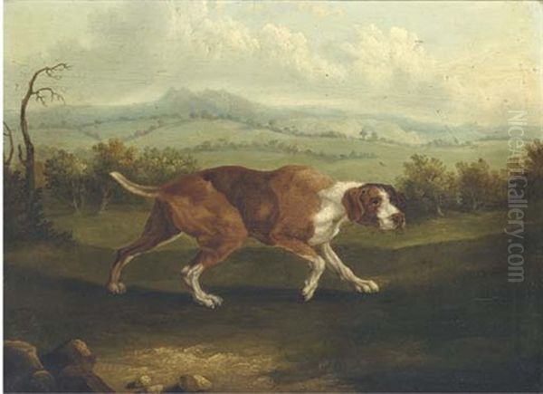 The Spanish Pointer (after George Stubbs) Oil Painting by Abraham Cooper