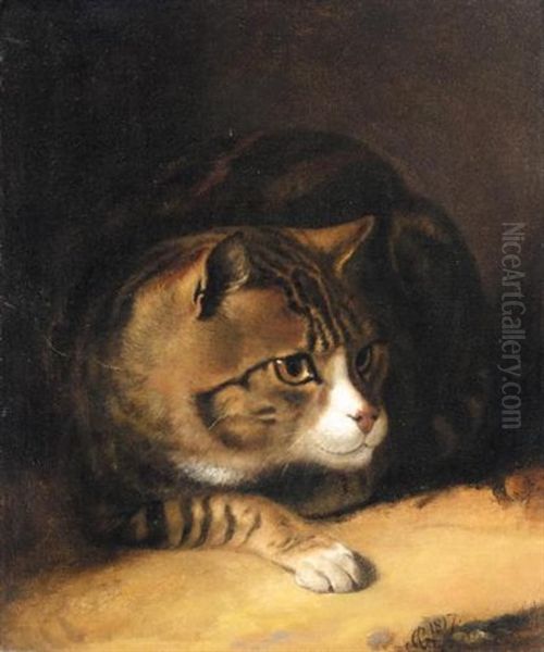 Tom The Tabby Cat Oil Painting by Abraham Cooper