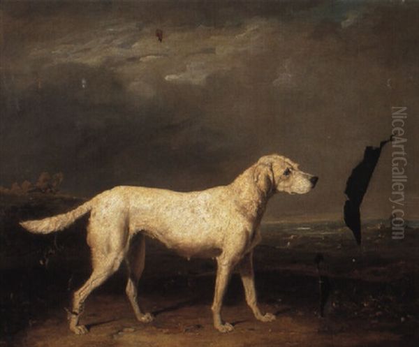 A Setter In A Landscape Oil Painting by Abraham Cooper