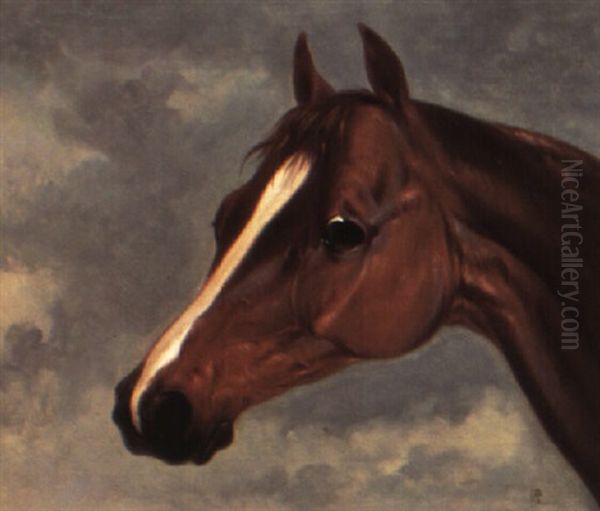 Study Of Mr. Stanlake Baston's Chesnut Colt 'plenipotentiary' Oil Painting by Abraham Cooper