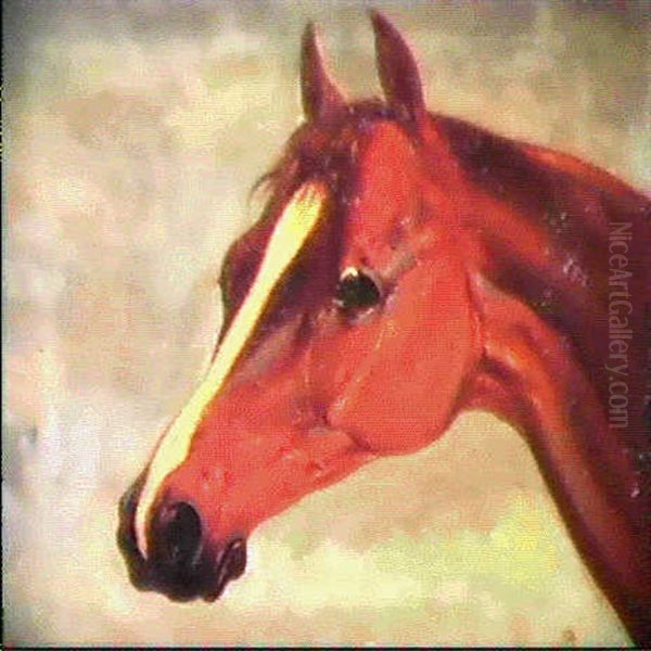 Study Of The Horse's Head 'plenipotentiary' Oil Painting by Abraham Cooper