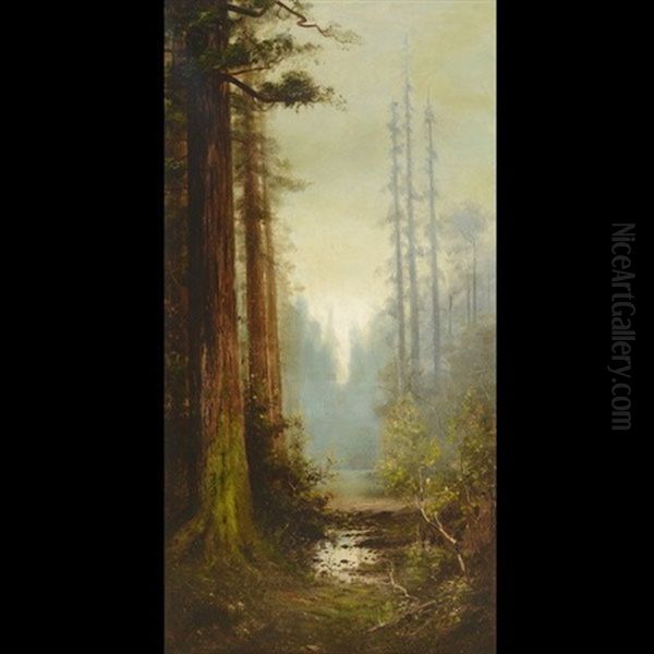 Majestic California Redwoods Oil Painting by Astley David Middleton Cooper