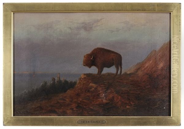 Plains Buffalo Oil Painting by Astley David Middleton Cooper