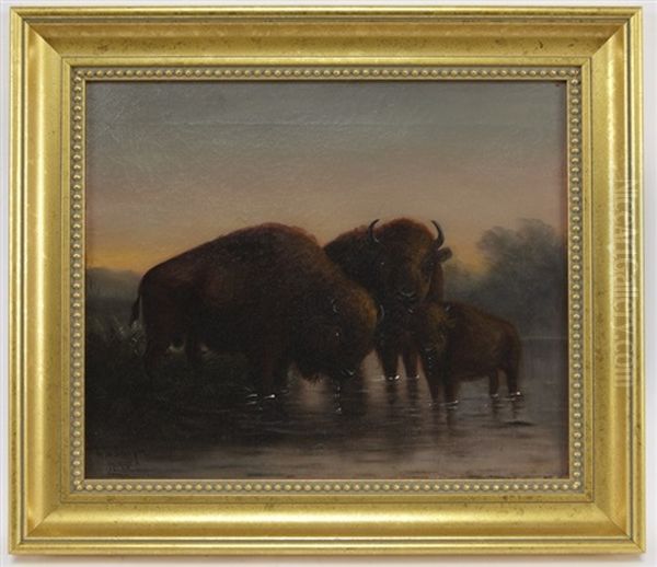 Buffalo Oil Painting by Astley David Middleton Cooper