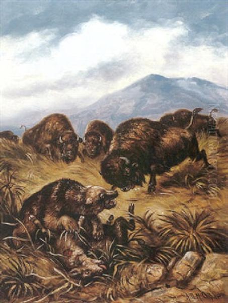 Angry Buffaloes Oil Painting by Astley David Middleton Cooper