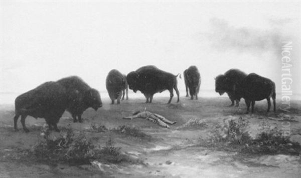 Buffalos And Dead Indian Montague Oil Painting by Astley David Middleton Cooper