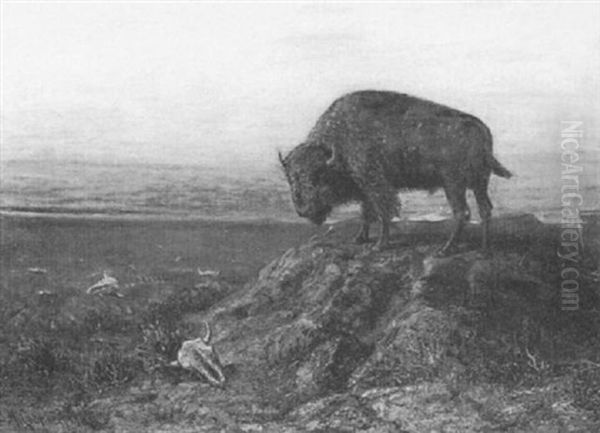 Old Bull Oil Painting by Astley David Middleton Cooper