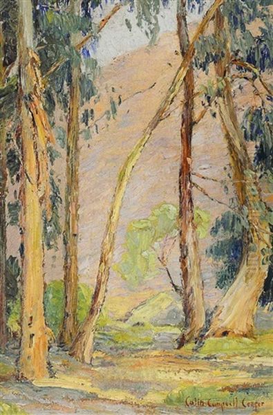 Untitled (redwood Grove) Oil Painting by Colin Campbell Cooper