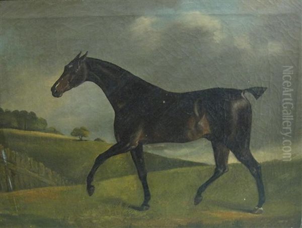 A Dark Bay Racehorse In A Landscape Oil Painting by Edwin Cooper