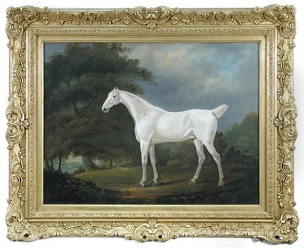 A Grey Horse In An Extensive Landscape Oil Painting by Edwin Cooper