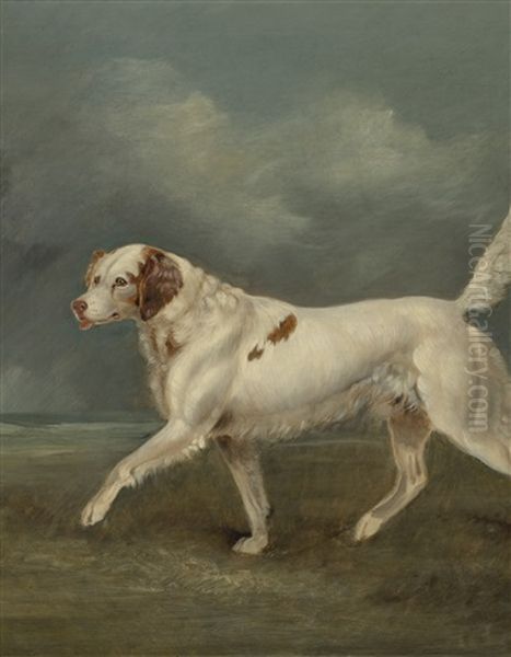 A Spaniel In A Landscape Oil Painting by Edwin Cooper