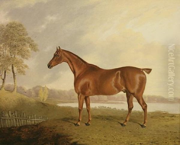 A Chestnut Horse In A Landscape Oil Painting by Edwin Cooper