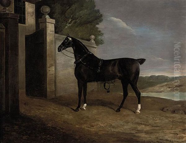 A Carriage Horse At The Stable Gates Oil Painting by Edwin Cooper