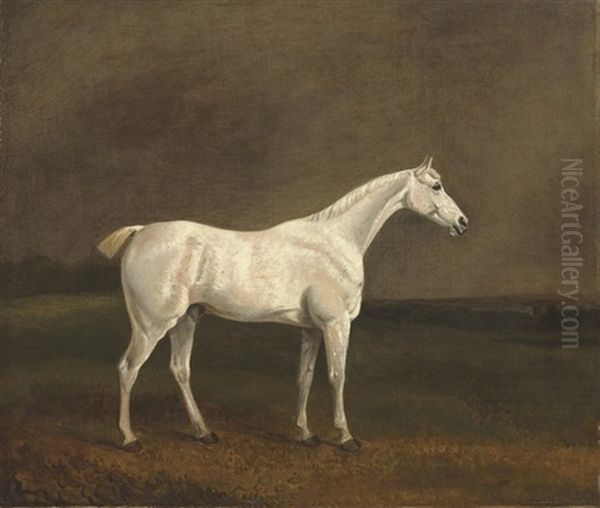 A White Stallion In A Landscape Oil Painting by Edwin Cooper