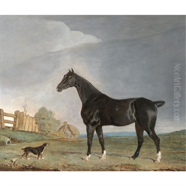 A Dark Bay Hunter And A Terrier In A Landscape Oil Painting by Edwin Cooper