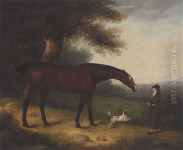 A Groom Feeding A Horse In A Landscape Oil Painting by Edwin Cooper