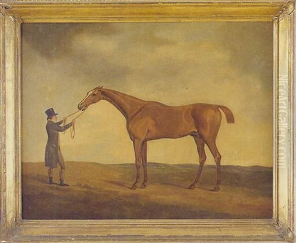 Portrait Of A Gentleman With A Bay Hunter Oil Painting by Edwin Cooper