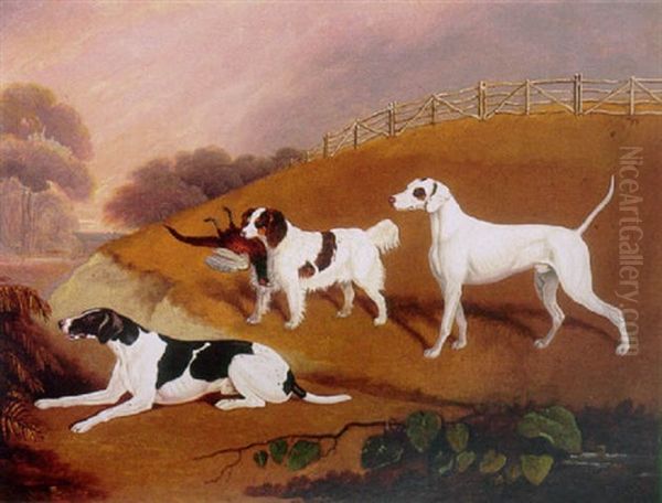 Three Games Dogs With A Pheasant In A Landscape Oil Painting by Edwin Cooper