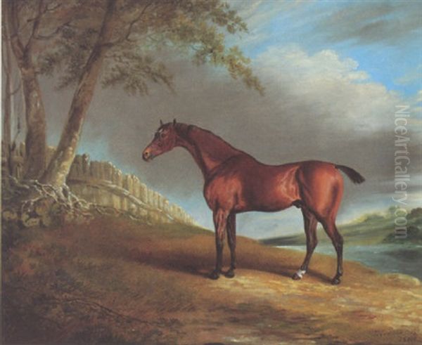 A Bay Hunter In A Landscape Oil Painting by Edwin Cooper