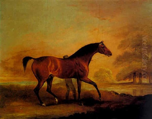 Podargus, A Bay Colt In A Landscape Oil Painting by Edwin Cooper