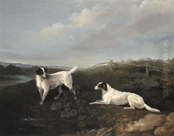 Spaniels In A River Landscape Oil Painting by Edwin Cooper