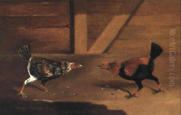 Two Fighting Cocks Oil Painting by Edwin Cooper