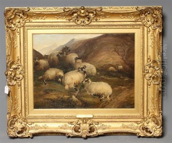 On The Hills, Sheep Reposing Oil Painting by Thomas Sidney Cooper