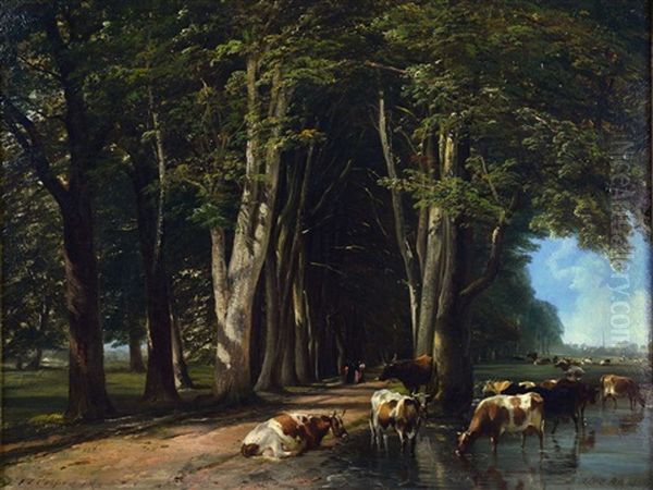 Cattle Watering By A Wooded Lane Oil Painting by Thomas Sidney Cooper