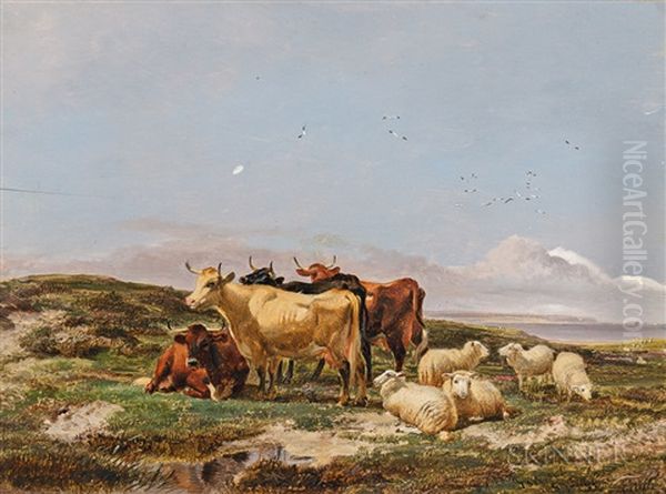 Cattle And Sheep By The Coast Oil Painting by Thomas Sidney Cooper