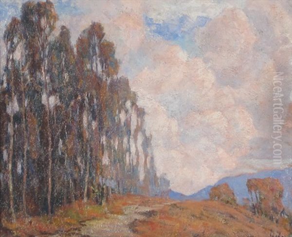 Untitled (impressionistic Landscape) Oil Painting by Virginia S. Cooper