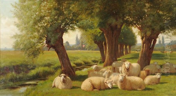 Sheep In A Sunlit Meadow With Willow Trees Beside A Stream Nearby Oil Painting by William Sidney Cooper