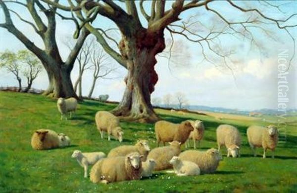 Sheep And Lambs In An Early Spring Landscape Oil Painting by William Sidney Cooper