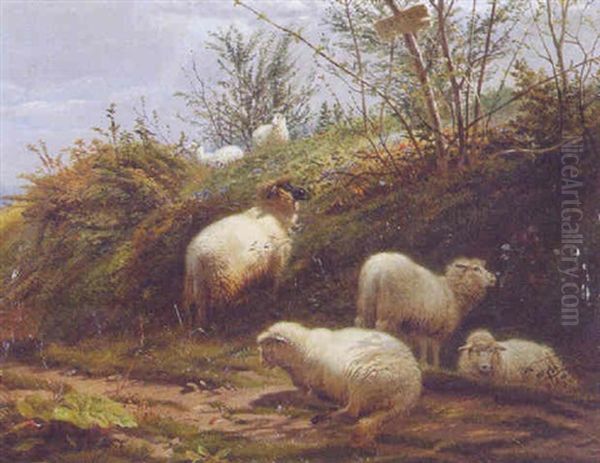 Sheep Grazing Oil Painting by William Sidney Cooper