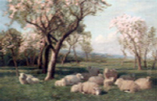 Sheep Resting In An Orchard Oil Painting by William Sidney Cooper