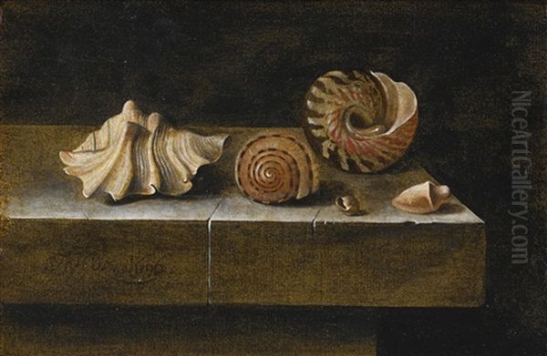 Still Life With Sea Shells Oil Painting by Adriaen Coorte