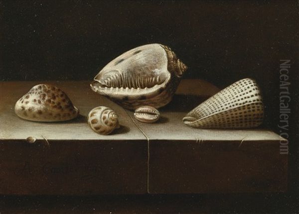 Still Life Of Five Shells On A Stone Ledge Oil Painting by Adriaen Coorte