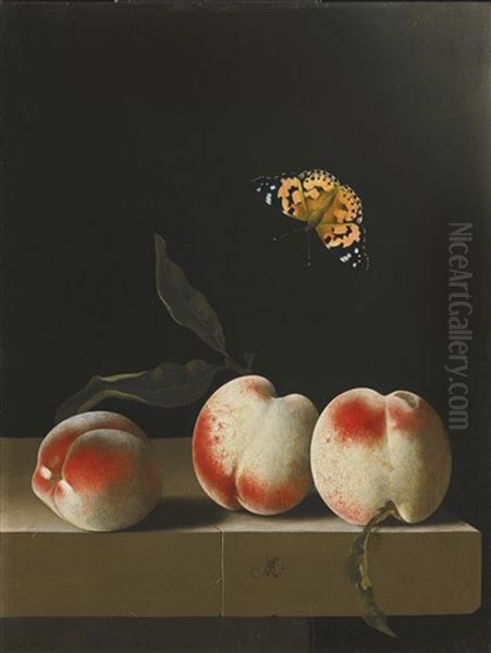 Three Peaches On A Stone Ledge, With A Red Admiral Butterfly Oil Painting by Adriaen Coorte