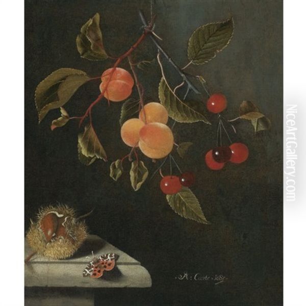 Still Life With A Butterfly, Apricots, Cherries, And A Chestnut Oil Painting by Adriaen Coorte