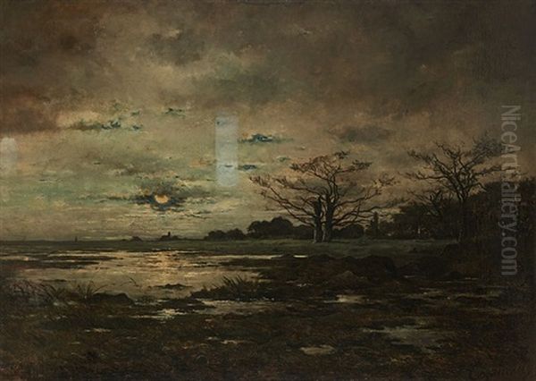 Reflets De Lune Sur La Marre Oil Painting by Joseph Theodore Coosemans