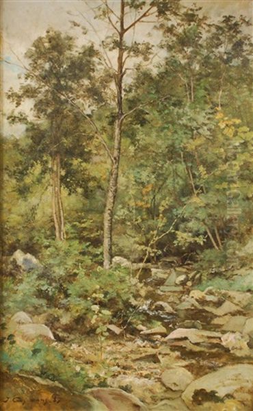 Ruisseau Dans Un Paysage Boise Oil Painting by Joseph Theodore Coosemans