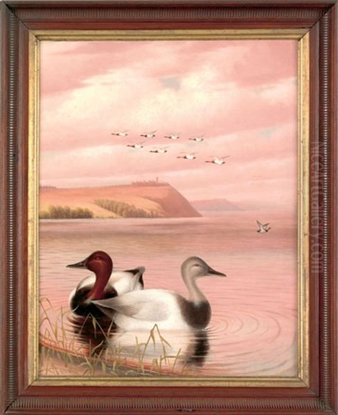 Landscape With Canvasback Ducks Off Of Turkey Pointe Oil Painting by George Cope