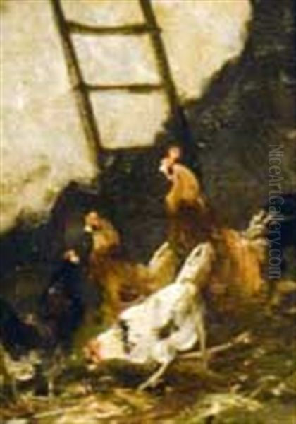 Poules Et Coqs Oil Painting by Edmond Van Coppenolle