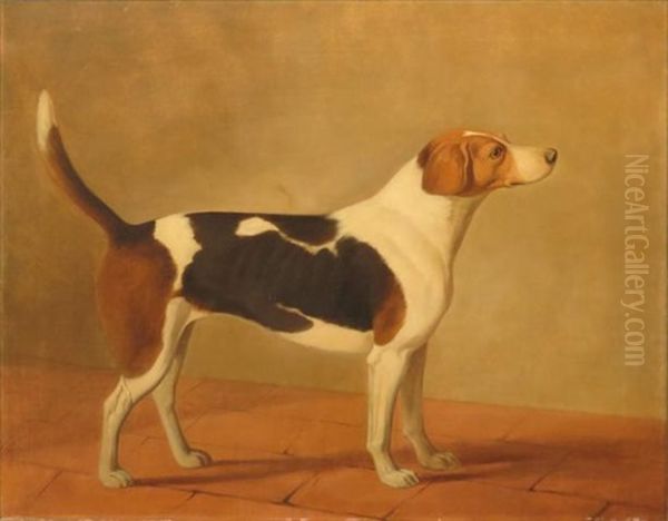 Hound In A Landscape Oil Painting by Edith Corbet