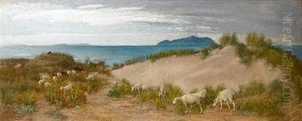 Sheep Grazing In The Dunes, On An Italian Coast Oil Painting by Edith Corbet