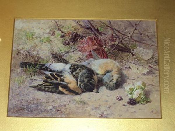 Dead Finches Oil Painting by Helen Cordelia Coleman Angell