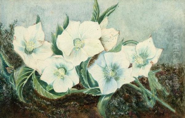 White Flowers On A Mossy Bank Oil Painting by Helen Cordelia Coleman Angell