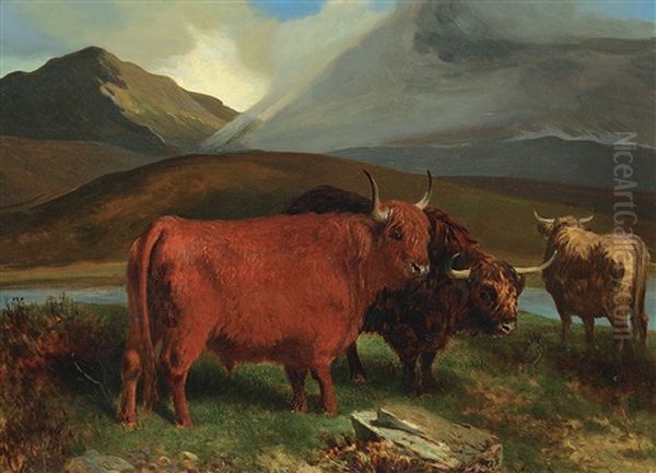 Highland Cattle by Aster R. Chantrey Corbould