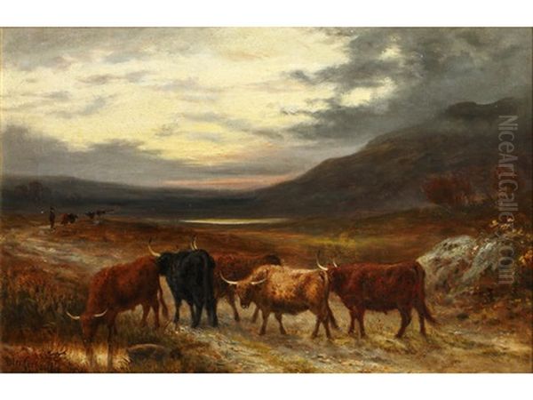 Highland Cattle; And Companion (pair) Oil Painting by Aster R. Chantrey Corbould