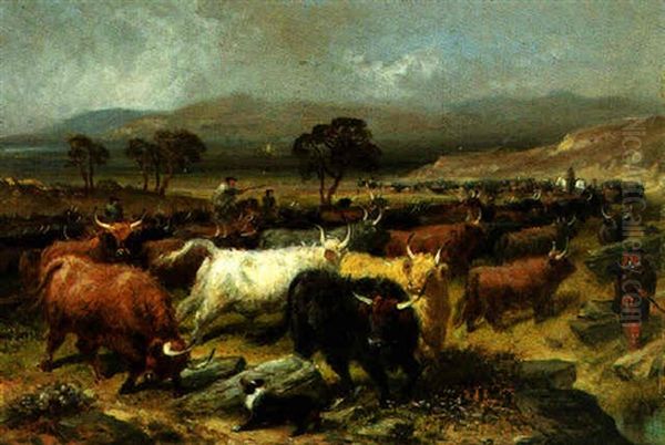 Collecting Cattle For The Fair In The Highlands Oil Painting by Aster R. Chantrey Corbould