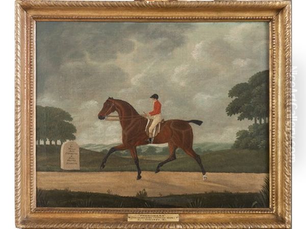 Phenomena, The Celebrated Trotting Mare, With Jockey Up, On The Road To Cambridge Near Fenney Stanton Oil Painting by John Cordrey